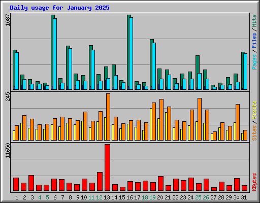 Daily usage for January 2025