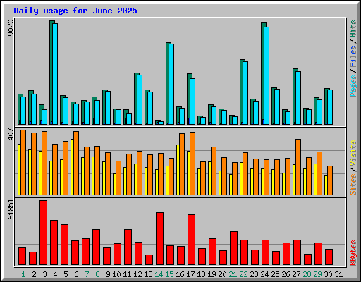 Daily usage for June 2025