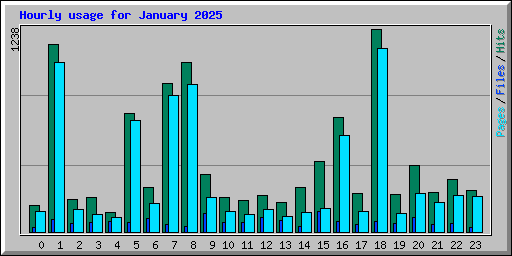 Hourly usage for January 2025
