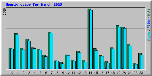 Hourly usage for March 2025