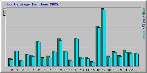 Hourly usage for June 2025